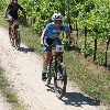 IMG_1179