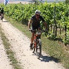 IMG_1181