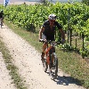 IMG_1182