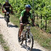 IMG_1183