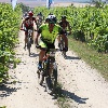 IMG_1191