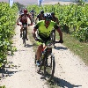 IMG_1192