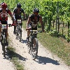 IMG_1195