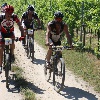 IMG_1196