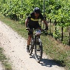 IMG_1207