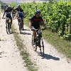 IMG_1219
