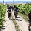 IMG_1220