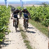 IMG_1221