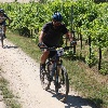IMG_1232