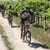 IMG_1235