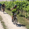 IMG_1237