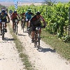 IMG_1238