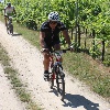 IMG_1261