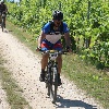 IMG_1269
