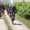 IMG_1271