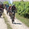 IMG_1272