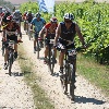 IMG_1273