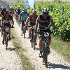 IMG_1274