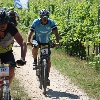 IMG_1282