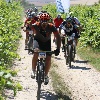 IMG_1287