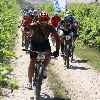 IMG_1288