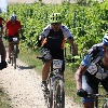 IMG_1294
