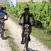 IMG_1309