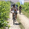 IMG_1314