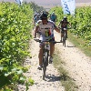 IMG_1315