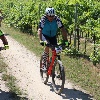IMG_1332