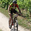 IMG_1338