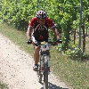 IMG_1393
