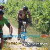 IMG_1421