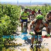 IMG_1515