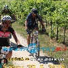 IMG_1534