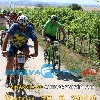 IMG_1590