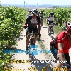 IMG_1732