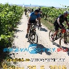 IMG_1822