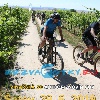 IMG_1823