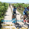 IMG_1856