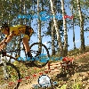 IMG_9966