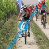 IMG_1566