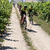 IMG_0671