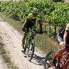 IMG_0674