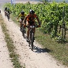 IMG_0677