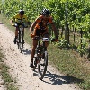 IMG_0679