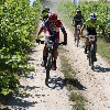 IMG_0684