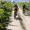 IMG_0687