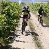 IMG_0688