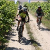 IMG_0689